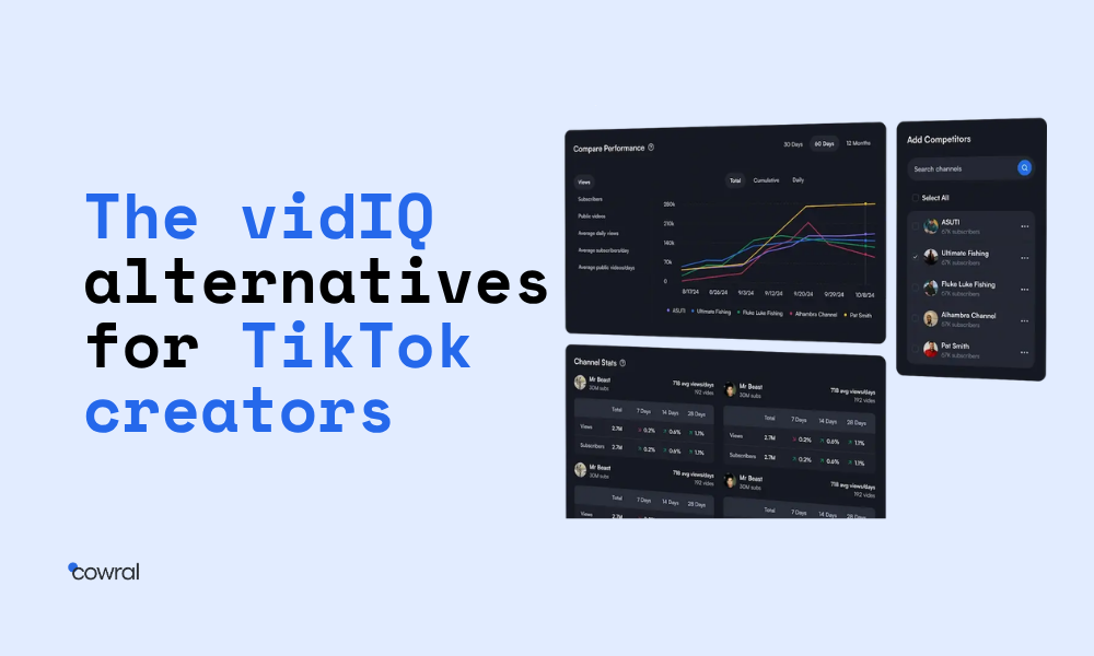 The vidIQ Alternative for TikTok Creators